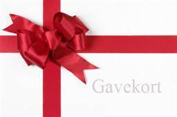 CoolerKit Gavekort - 1500 kr.